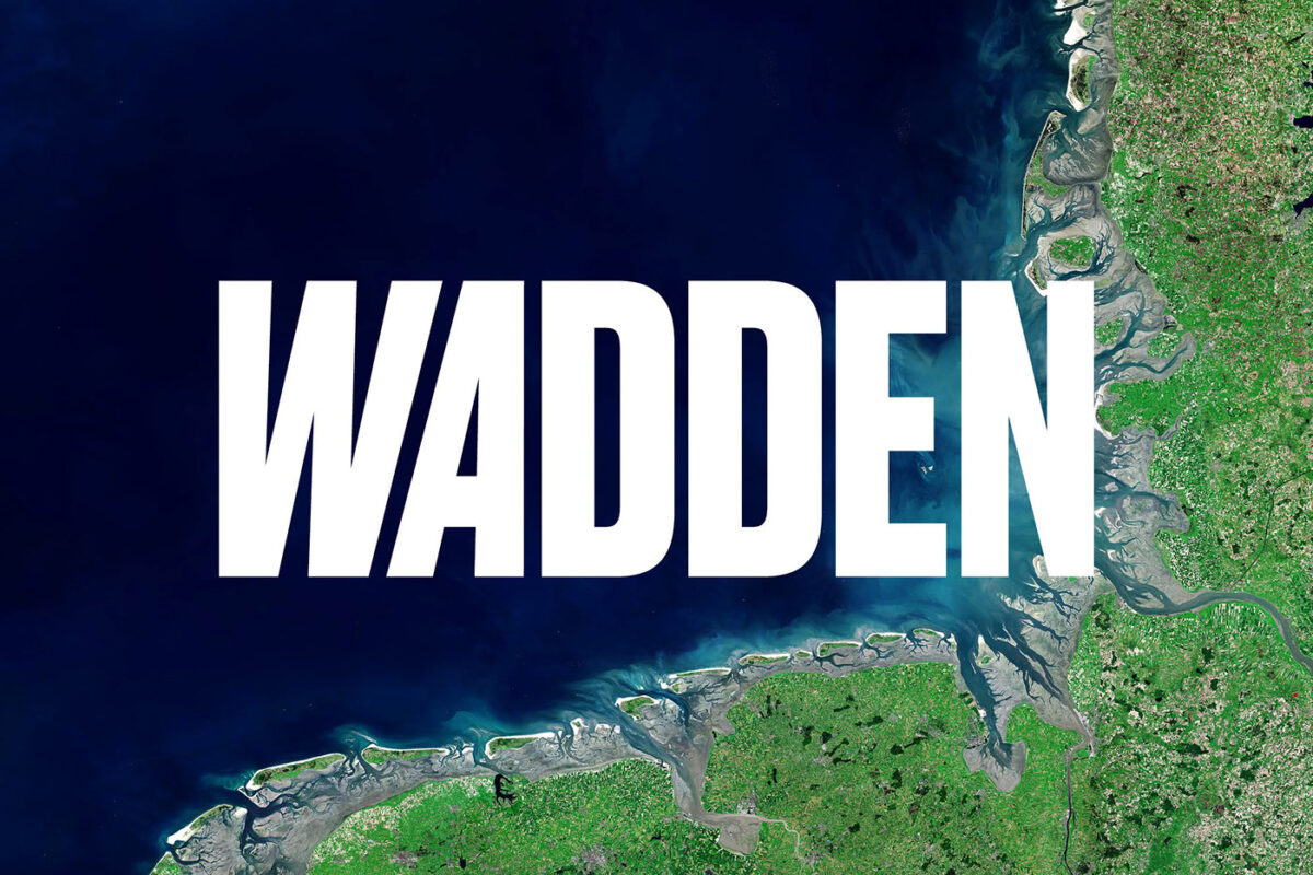 688f9390445465.5e4bf97a086b8